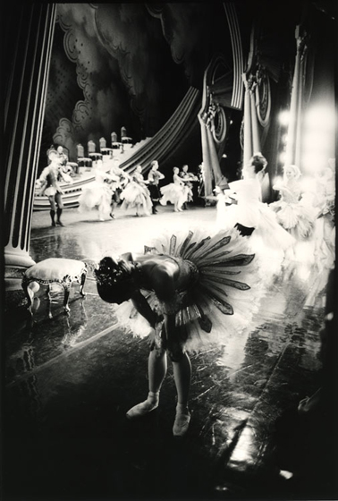 Darcey © David Secombe