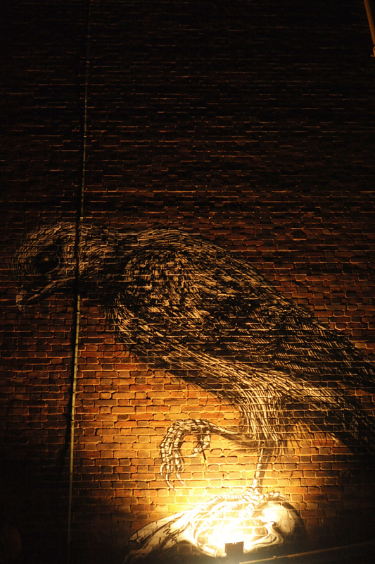 ROA-bird