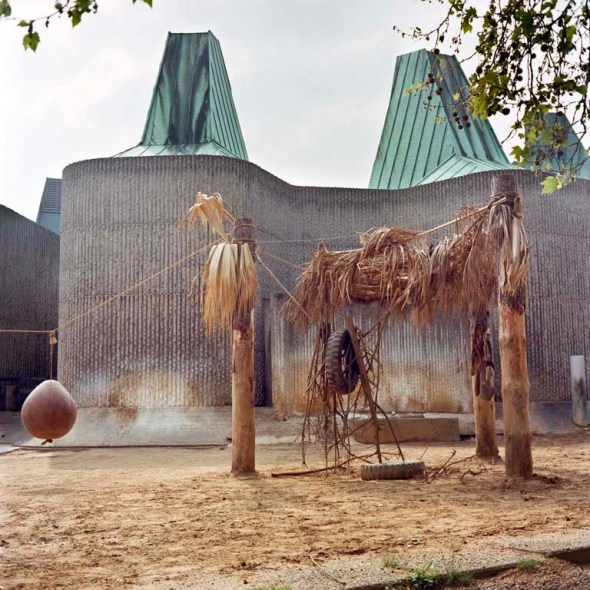 Zoo_Logical_web O'Shaughnessy_ Title_Diceros bicornis