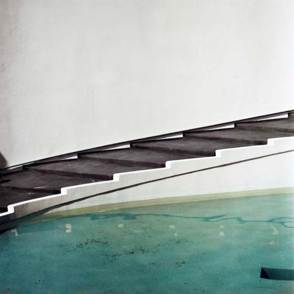 Zoo_Logical_web_ O'Shaughnessy_ Title_Pygoscelis adeliae