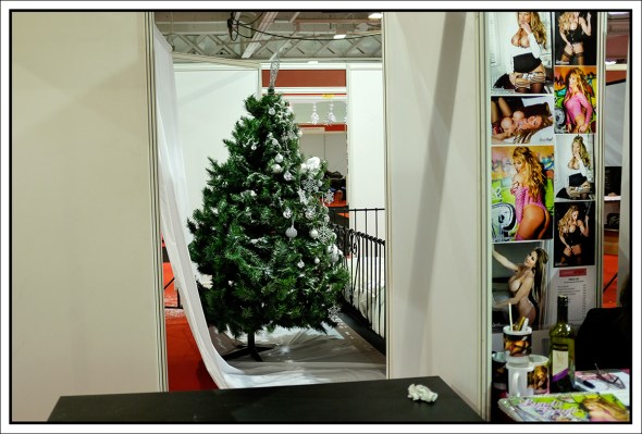 18093331925205.56670affb563a