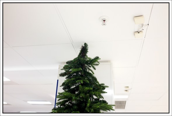 9988ec31925205.5678238a5c558