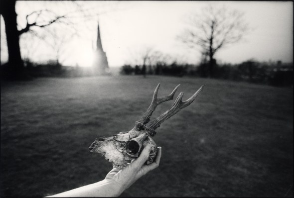 Greenwich Park, 1993.